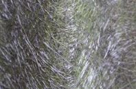 Pilham fibreglass roof work